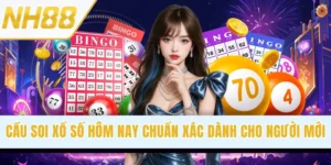 Cầu Soi Xổ Số Hôm Nay Chuẩn Xác Dành Cho Người Mới Bắt Đầu