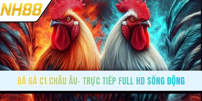 Đá Gà C1 Châu Âu - Quy Tụ Các Chiến Kê Mạnh Nhất