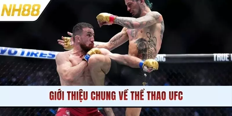 Giới thiệu chung về thể thao UFC