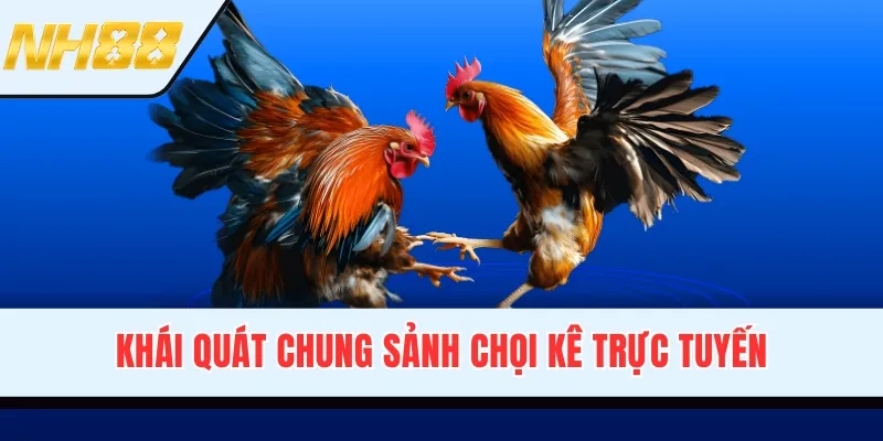 Khái quát chung sảnh chọi kê trực tuyến