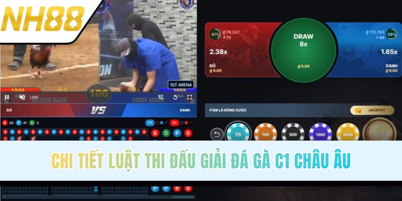 Chi tiết thể lệ giải đá gà C1 Châu Âu