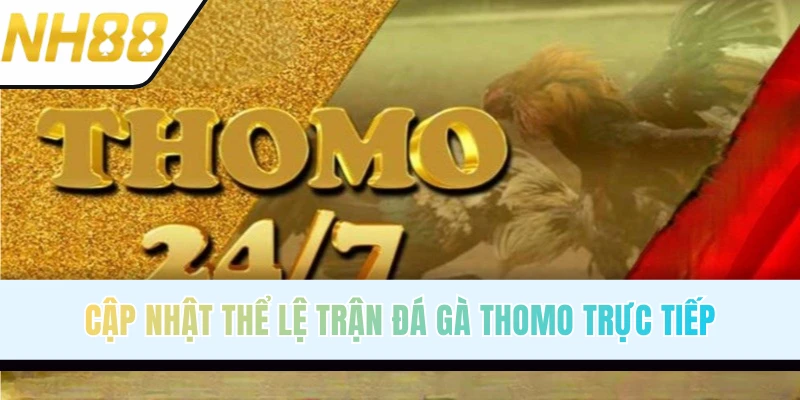 Luật chơi trực tiếp đá gà Thomo chi tiết
