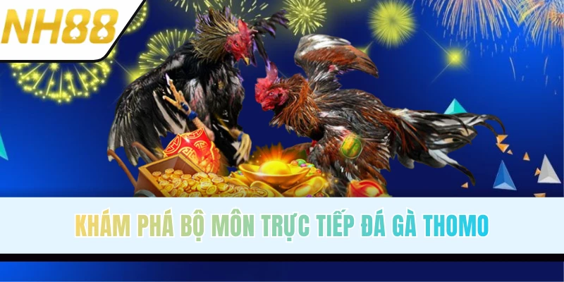 Tìm hiểu thông tin loại hình đá gà Thomo