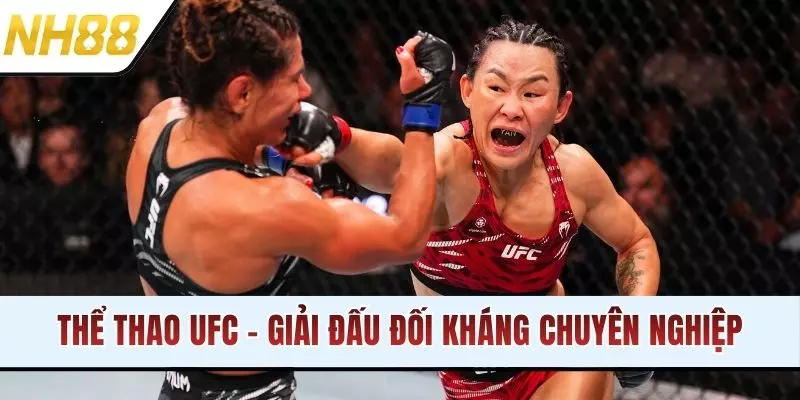Thể Thao UFC - Giải Đấu Đối Kháng Chuyên Nghiệp Bậc Nhất