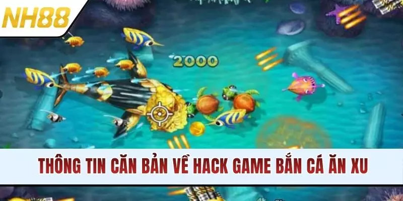 Thông tin căn bản về hack game bắn cá ăn xu
