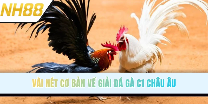 Sơ lược thông tin về giải đá gà C1 Châu Âu