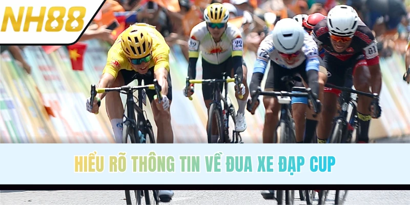 Tổng quan thông tin về đua xe đạp cup