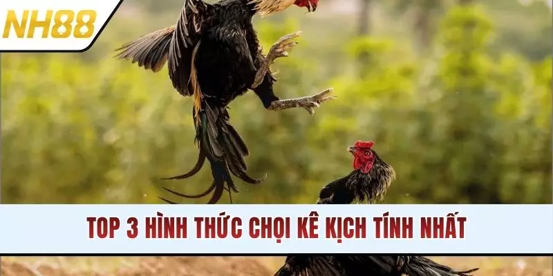 Top 3 hình thức chọi kê kịch tính nhất
