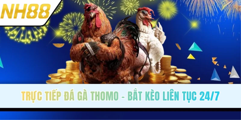 Trực Tiếp Đá Gà Thomo - Đấu Trường Của Các Trận Chọi Kê #1